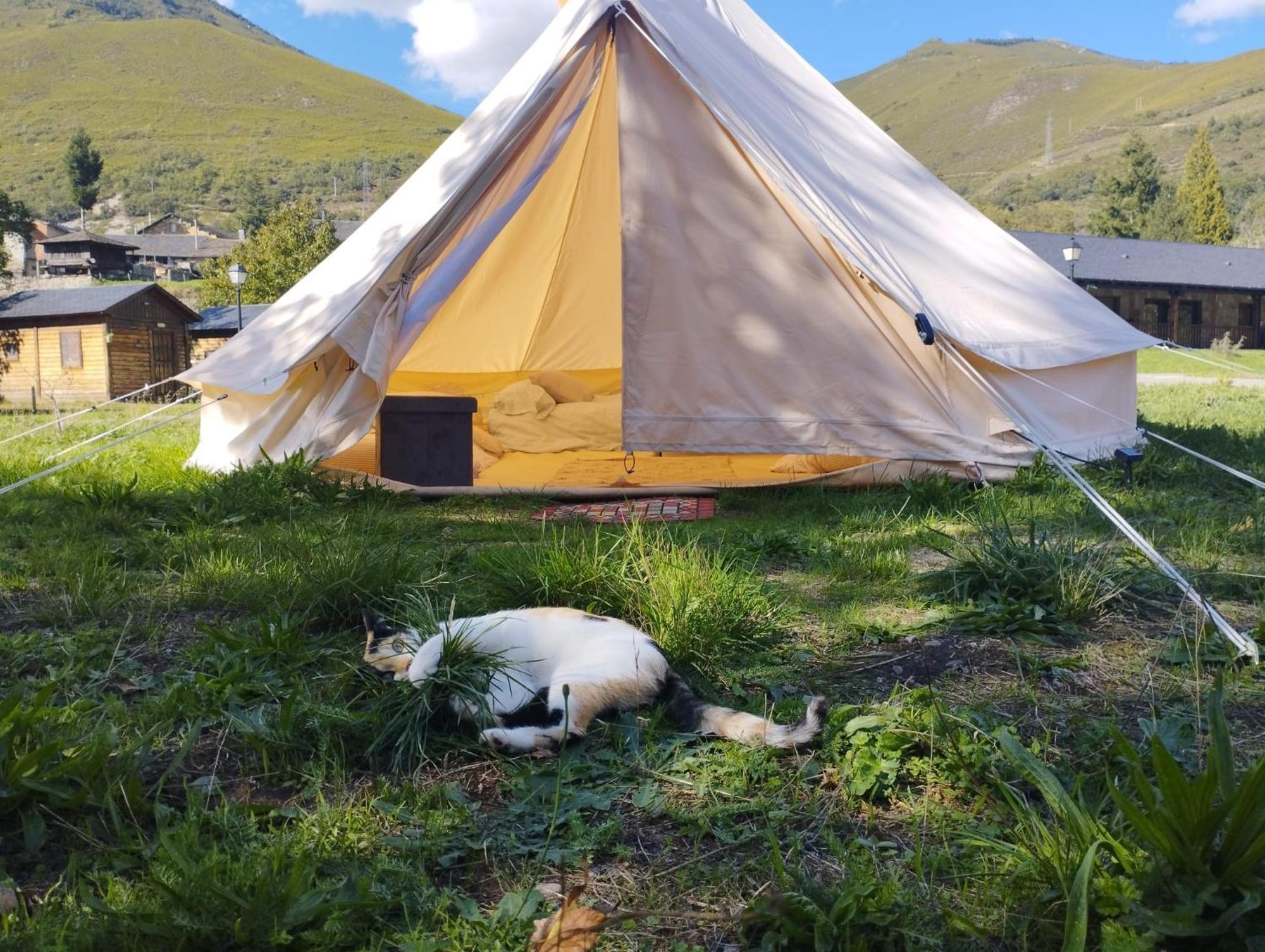 Camping La Zarapica - Palacios Del Sil Exterior foto